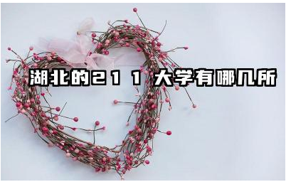 湖北的211大学有哪几所 湖北211大学的考研难度如何