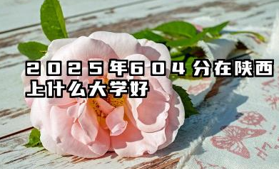 2025年604分在陕西上什么大学好 2025年604分段学子指南