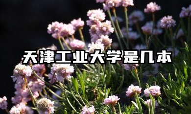 天津工业大学是几本 天津工业大学招生批次解析