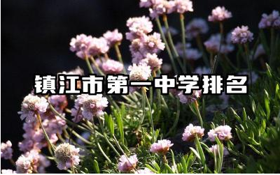 镇江市第一中学排名多少名 镇江市第一中学师资力量如何