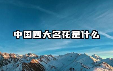 中国四大名花是什么 四大名花的象征意义是什么