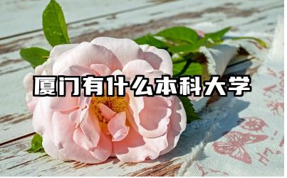 厦门有什么本科大学 厦门大学一本分数线多少分