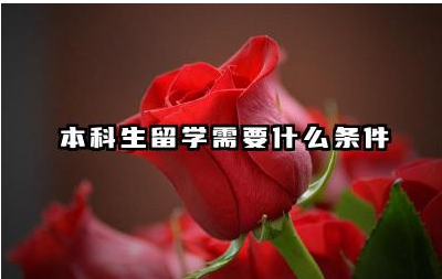本科生留学需要什么条件 本科生留学申请材料准备多久
