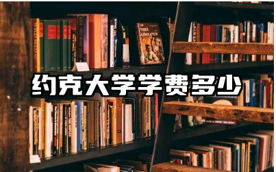 约克大学学费多少人民币 约克大学的奖学金容易申请吗