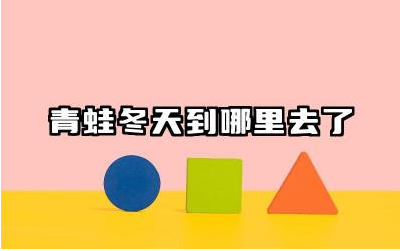 青蛙冬天到哪里去了 青蛙的冬眠习性及地点