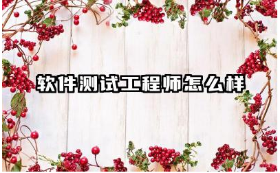 软件测试工程师怎么样 软件测试工程师证书怎么考