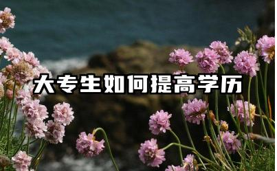 大专生如何提高学历 大专生可以报考哪些编制