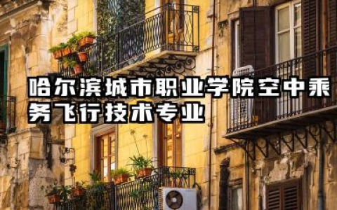 哈尔滨城市职业学院空中乘务（飞行技术）专业怎么样 专业多维度解析