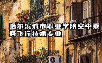哈尔滨城市职业学院空中乘务(飞行技术)专业怎么样 专业多维度解析