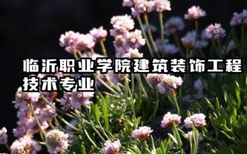 临沂职业学院建筑装饰工程技术专业怎么样 录取分数线高吗