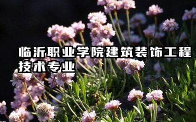临沂职业学院建筑装饰工程技术专业怎么样 录取分数线高吗