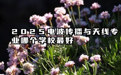 2025电波传播与天线专业哪个学校最好 2025年电波传播与天线专业院校展望