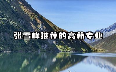 张雪峰推荐的高薪专业 张雪峰老师关于专业选择的核心建议