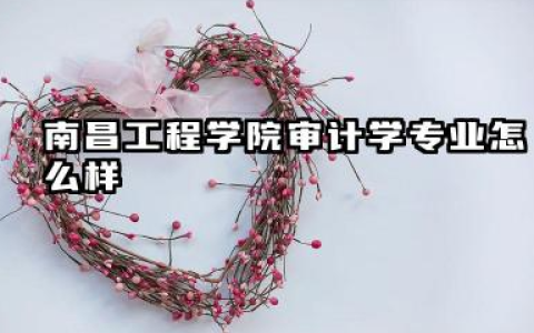 南昌工程学院审计学专业怎么样 培养方向、录取分数与就业前景