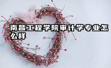南昌工程学院审计学专业怎么样 培养方向、录取分数与就业前景