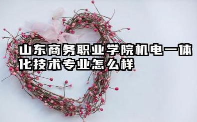山东商务职业学院机电一体化技术专业怎么样 全面解析与报考指南