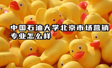 中国石油大学(北京)市场营销专业怎么样 能源特色与就业前景