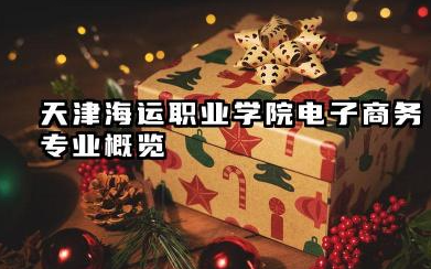 天津海运职业学院电子商务专业怎么样 天津海运职业学院电子商务专业概览
