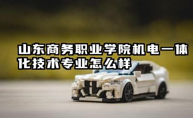 山东商务职业学院机电一体化技术专业怎么样 机电一体化技术专业深度解析及报考指南