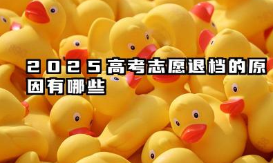 2025高考志愿退档的原因有哪些 高考志愿退档的常见原因分析