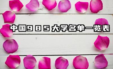 中国985大学名单一览表 实力与机遇并存详解