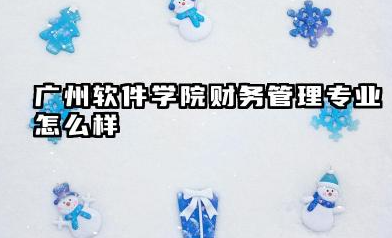 广州软件学院财务管理专业怎么样 专业特色、录取分数及报考建议