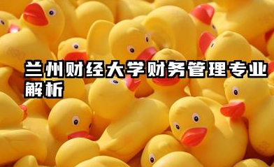兰州财经大学财务管理专业解析:区域优势与报考策略