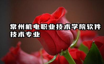 常州机电职业技术学院软件技术专业怎么样 专业特色与培养模式详解