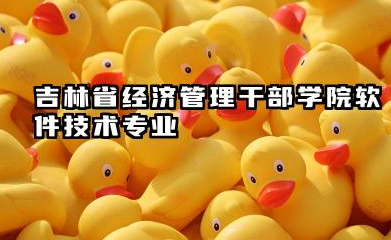 吉林省经济管理干部学院软件技术专业怎么样 软件技术专业详解