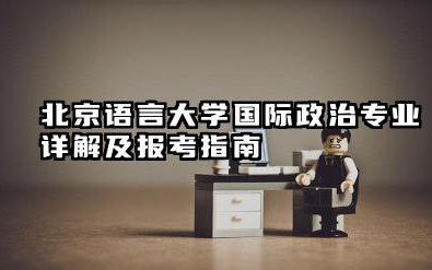 北京语言大学国际政治专业怎么样 北京语言大学国际政治专业详解及报考指南