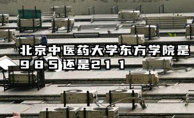 北京中医药大学东方学院是985还是211 独立学院的定位与考量