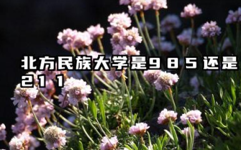 北方民族大学是985还是211 北方民族学校简介