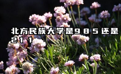 北方民族大学是985还是211 北方民族学校简介