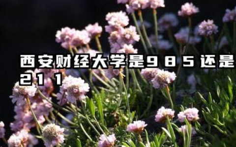 西安财经大学是985还是211 含金量高吗