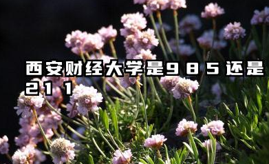 西安财经大学是985还是211 含金量高吗