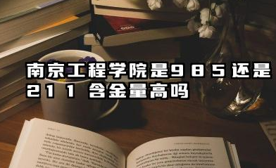 南京工程学院是985还是211 含金量高吗