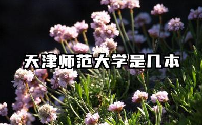 天津师范大学是几本 是一本还是二本大学