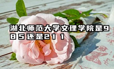 湖北师范大学文理学院是985还是211 含金量高吗