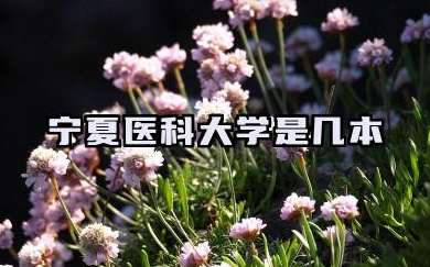 宁夏医科大学是几本 宁夏医科大学学校介绍