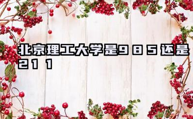 北京理工大学是985还是211 含金量如何
