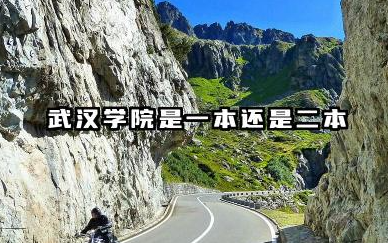 武汉学院是一本还是二本 武汉学院学校简介