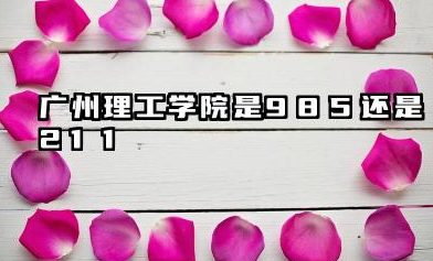 广州理工学院是985还是211 含金量如何