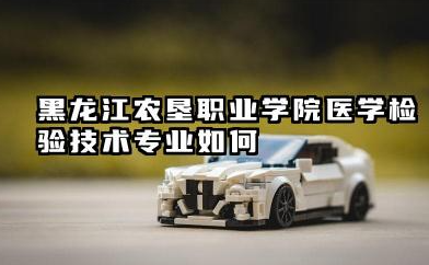 黑龙江农垦职业学院医学检验技术专业如何