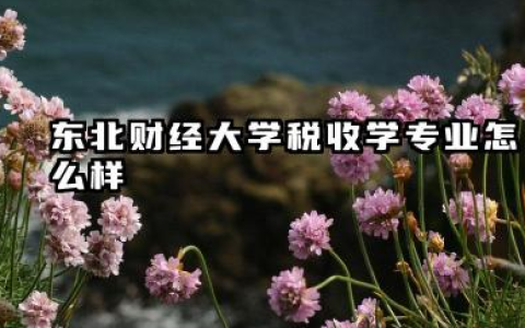 东北财经大学税收学专业怎么样 东北财经大学税收学专业深度解析及报考指南