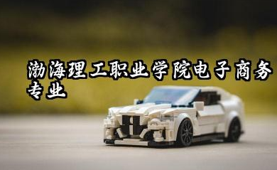 渤海理工职业学院电子商务专业怎么样 渤海理工职业学院学校如何