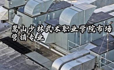 嵩山少林武术职业学院市场营销专业怎么样:深度解析与报考指南