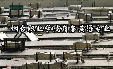 烟台职业学院商务英语专业怎么样 烟台职业学院商务英语专业深度解析