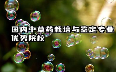 中草药栽培与鉴定专业2024年大学排名 国内中草药栽培与鉴定专业优势院校