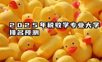 2025税收学专业大学排名30强 2025年税收学专业大学排名预测