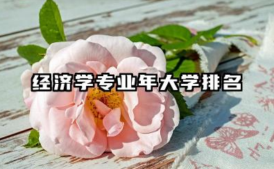 经济学专业2024年大学排名 2024年中国经济学专业大学排名深度解析